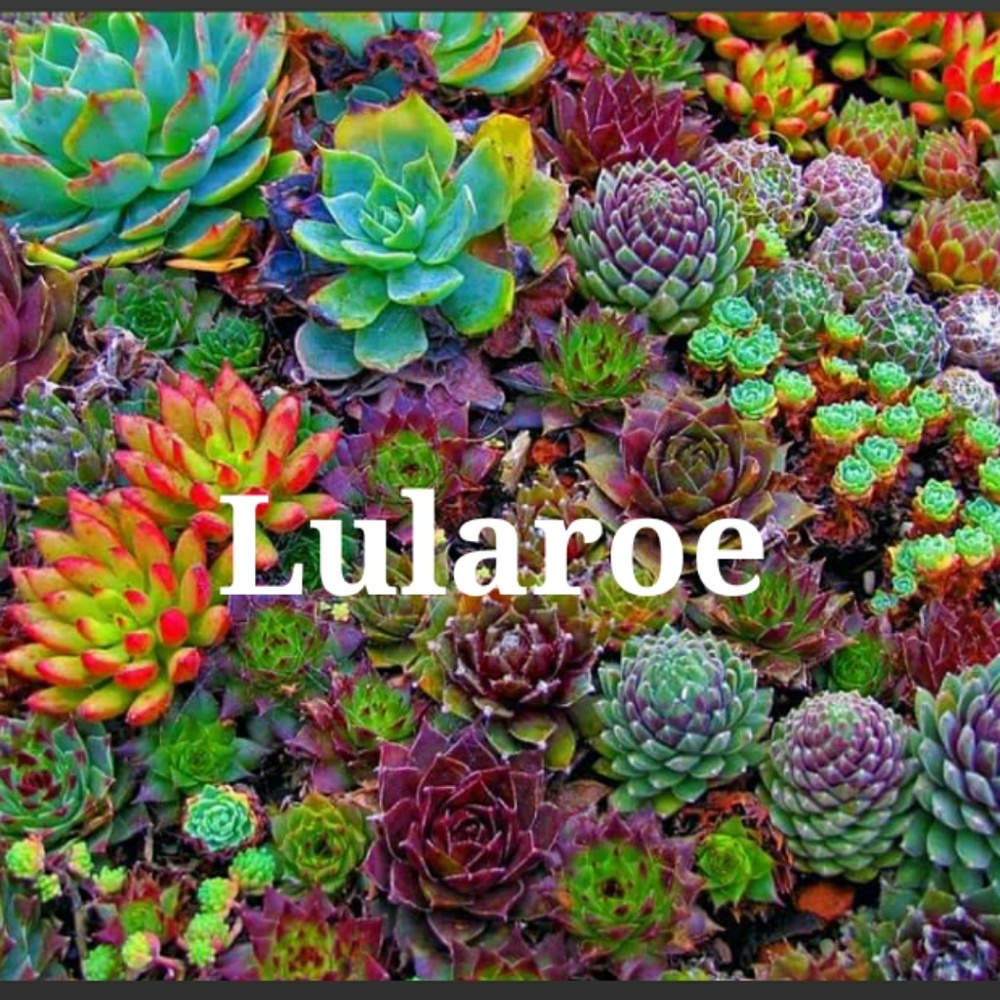 Lularoe